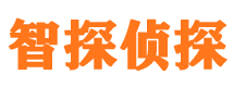 嵊泗市私家侦探